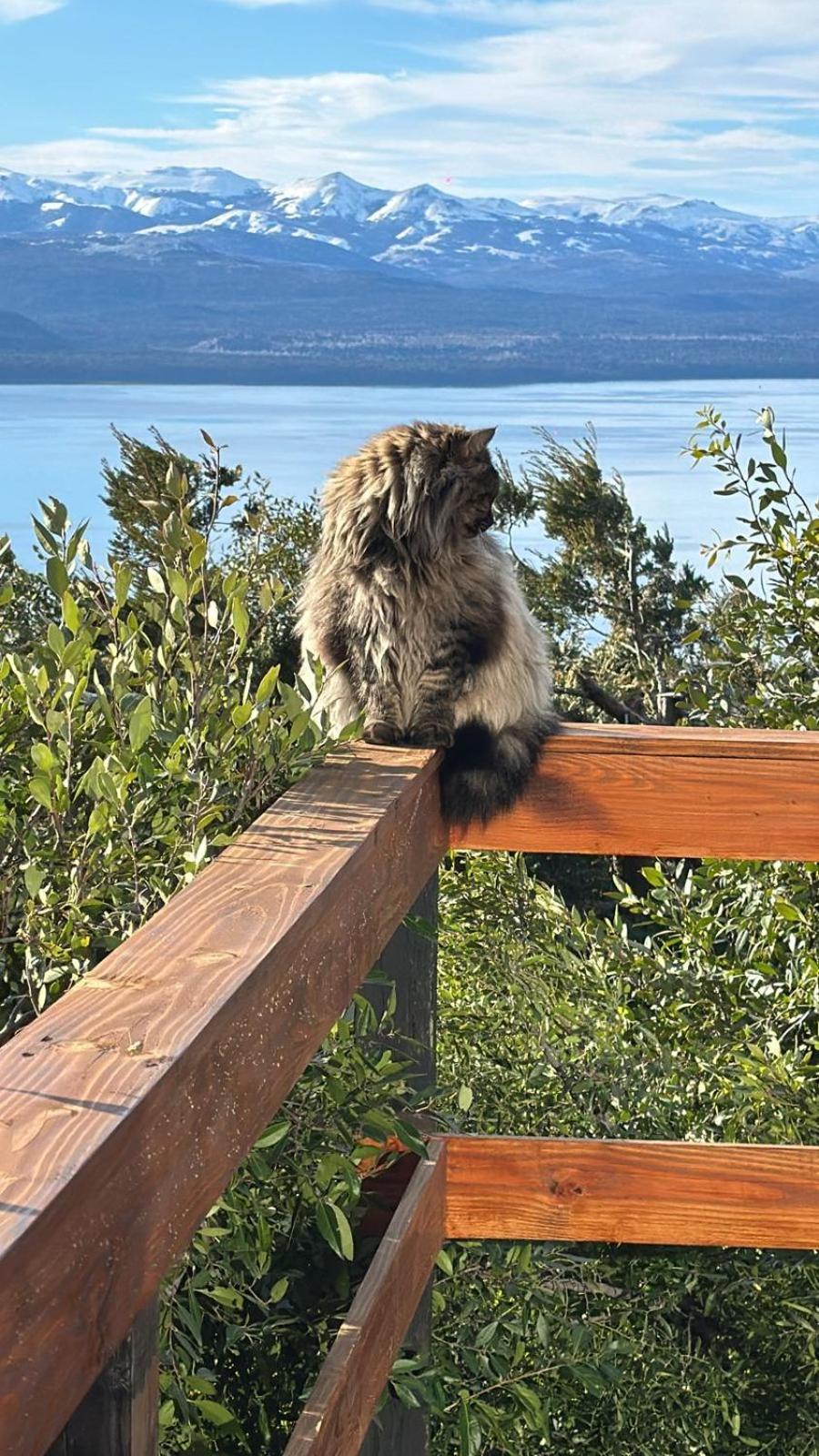 Casa de Férias De Montana En Cerro Otto Con Increible Vista Al